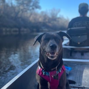 Meet your Posher, Amber